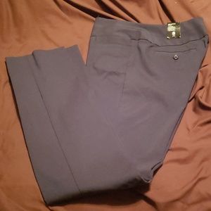 The Limited Dress Pants